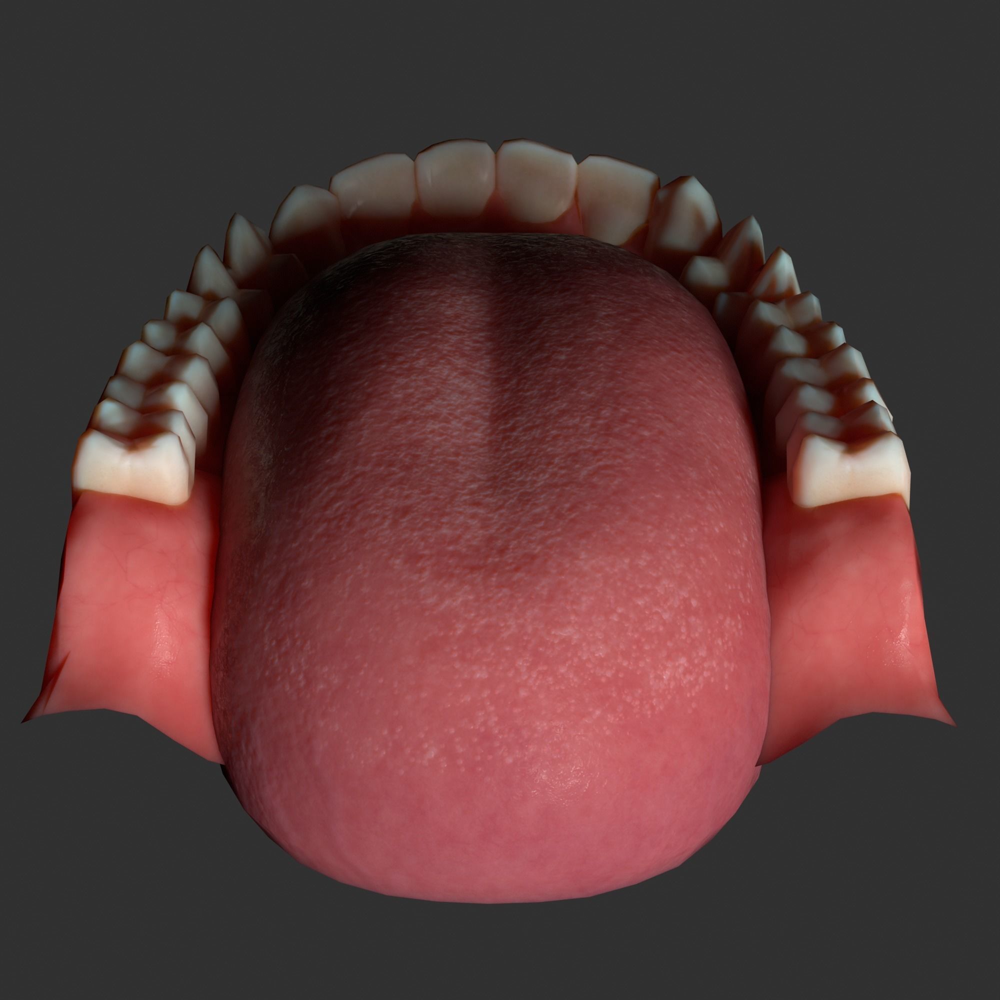 Human mouth Low-poly 3D model_18