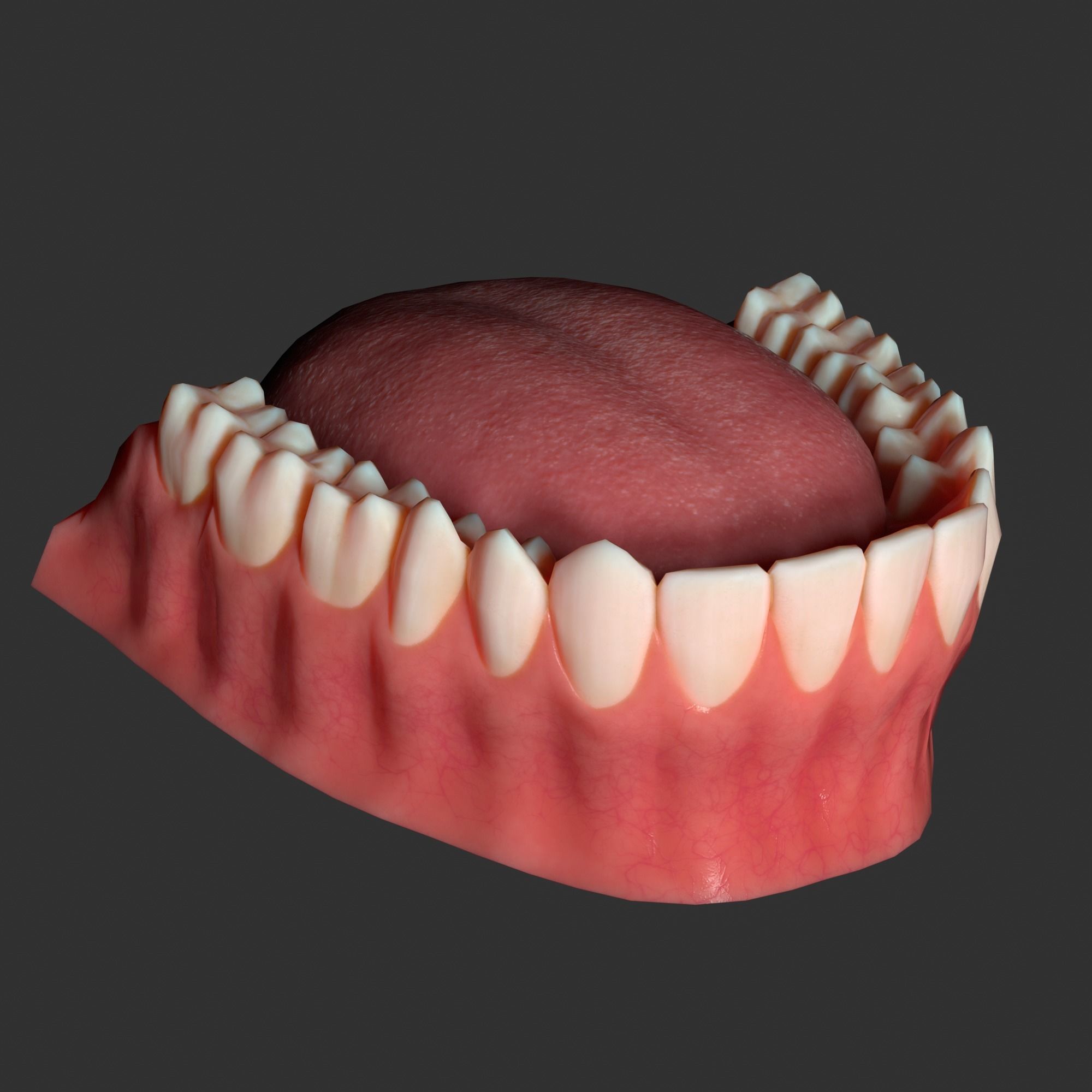 Human mouth Low-poly 3D model_14