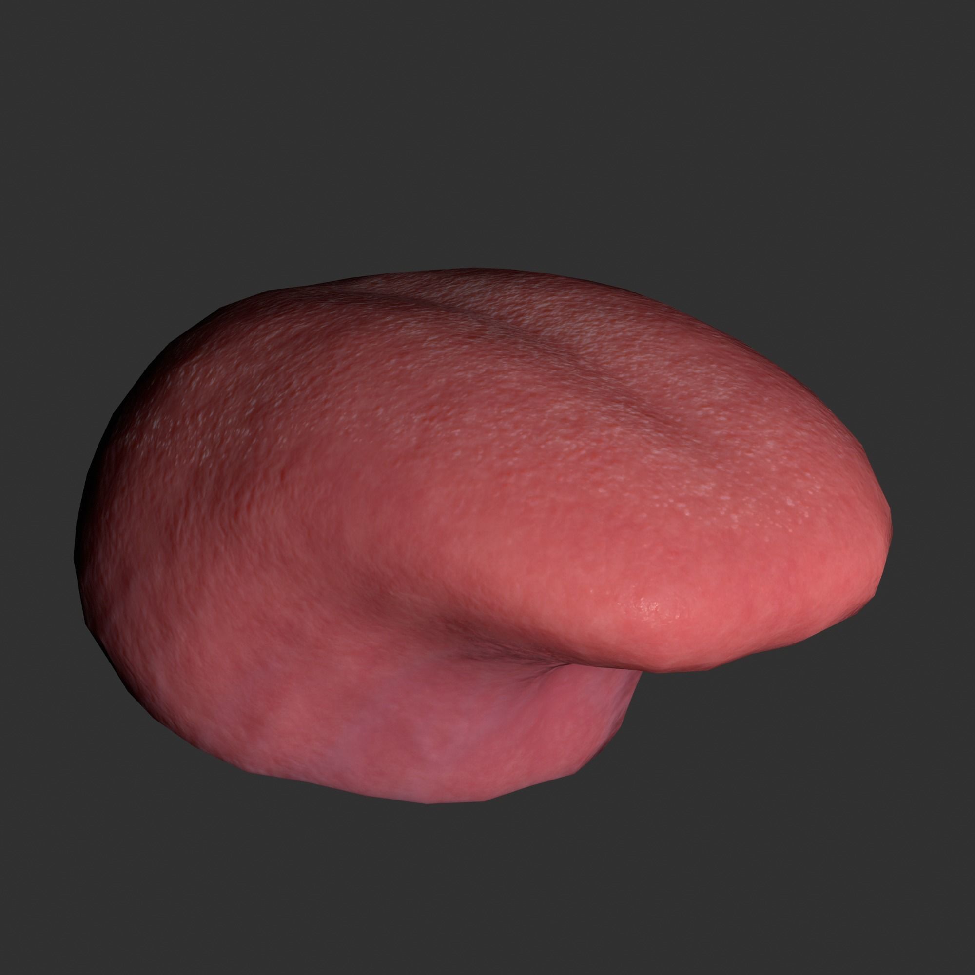 Human mouth Low-poly 3D model_19