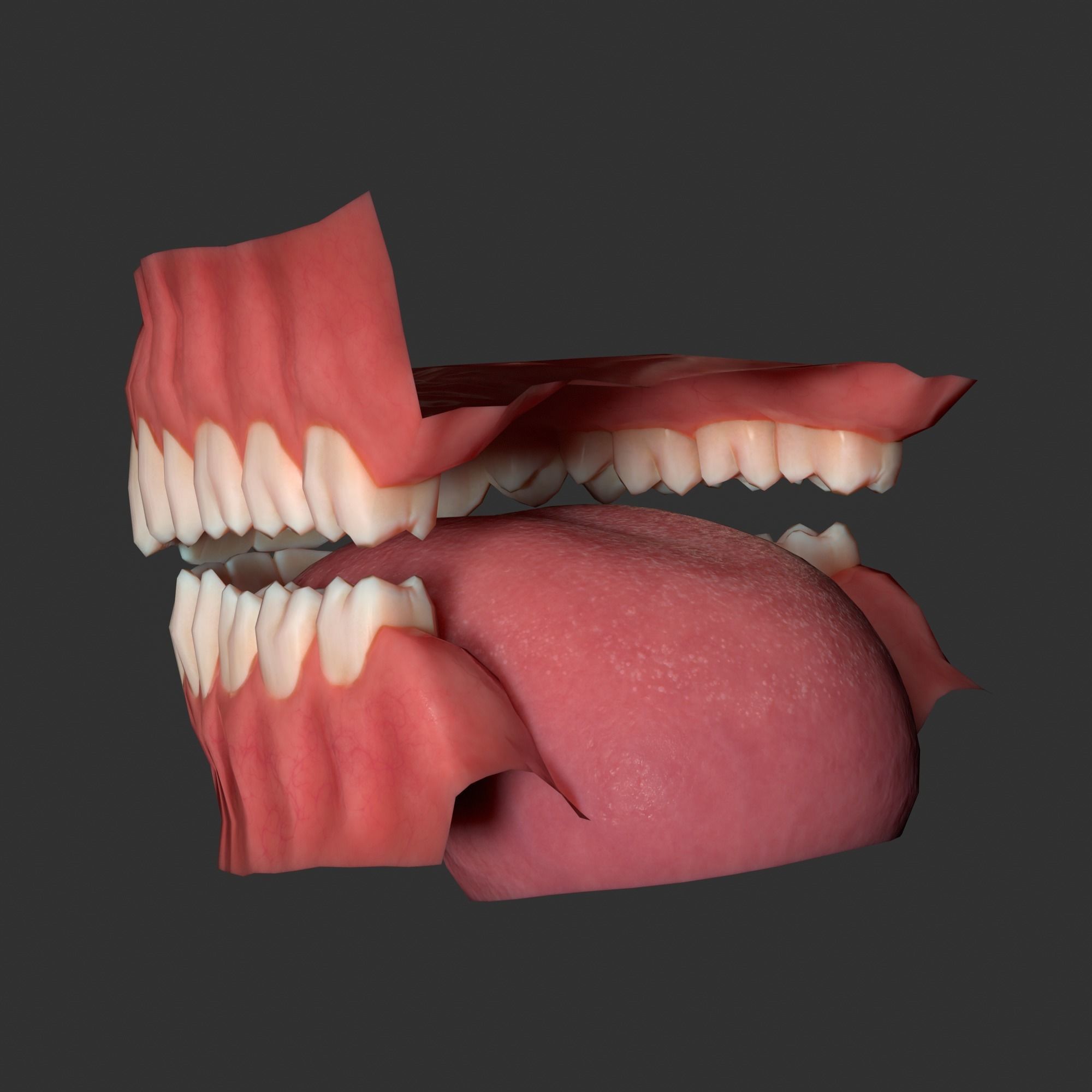 Human mouth Low-poly 3D model_3