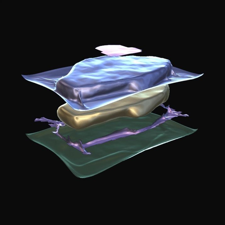 Steak Chuck 3D model_8