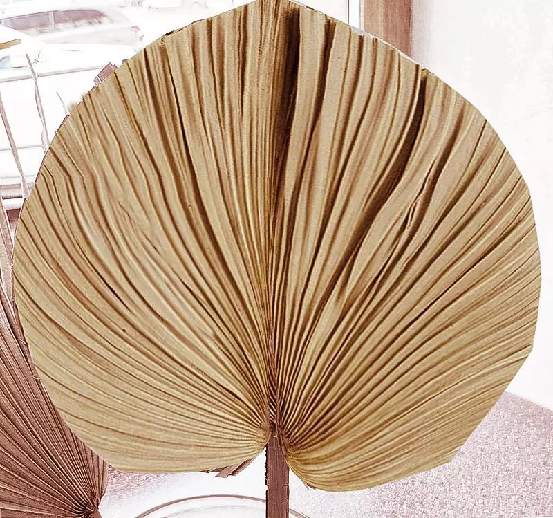Bamboo fan Free 3D model