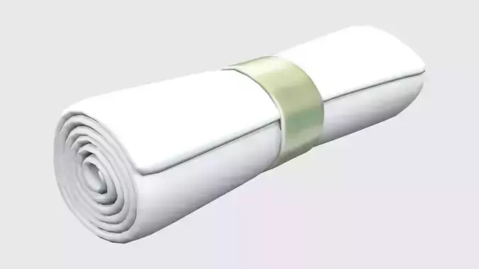 Rolled Napkin and Holder Ring
