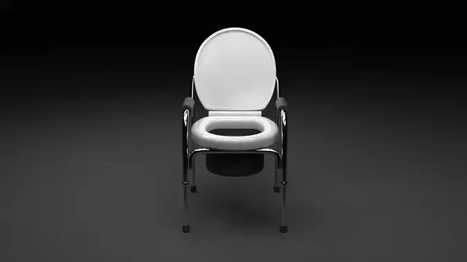 Portable toilet chair 