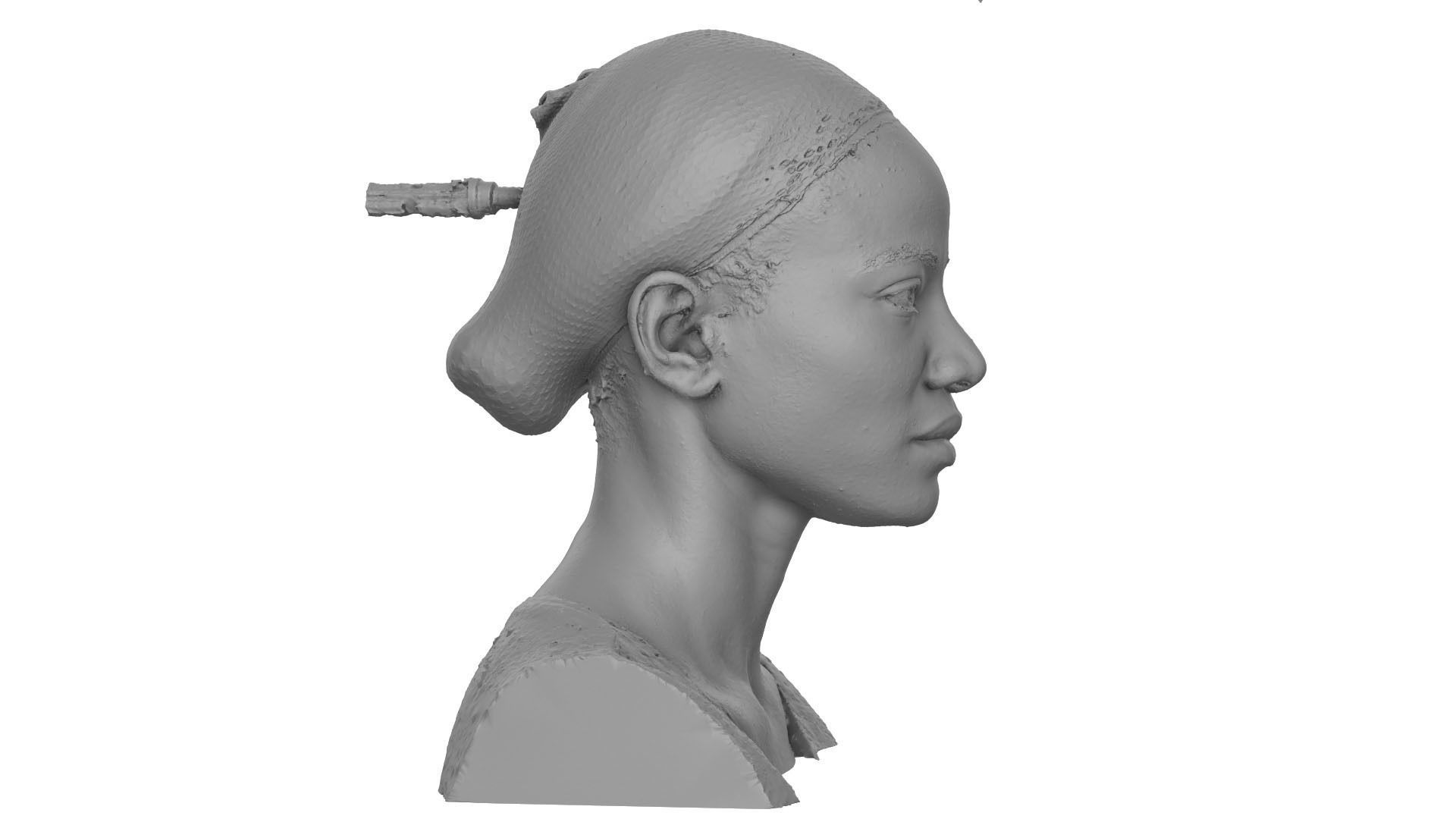 Raw Head Scan Bshara Henry 3D model_6