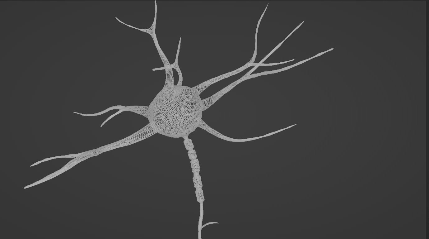 Neuron scene 3d model 3D model_3