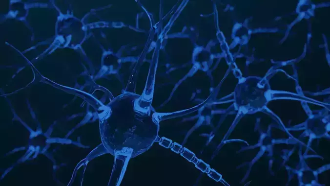 Neuron scene 3d model 3D model Neuron scene 3d model 3D model