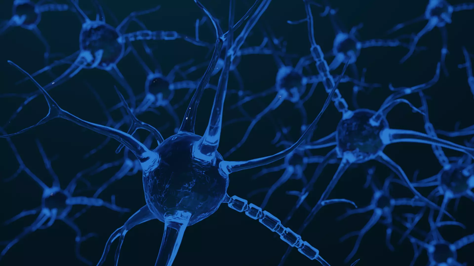 Neuron scene 3d model 3D model_0