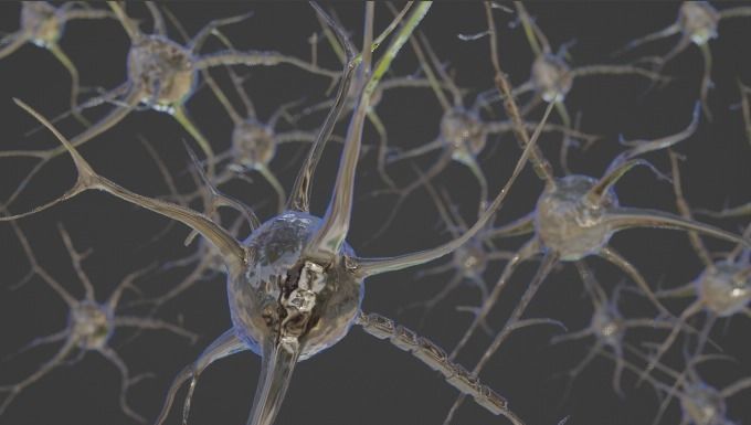 Neuron scene 3d model 3D model_5