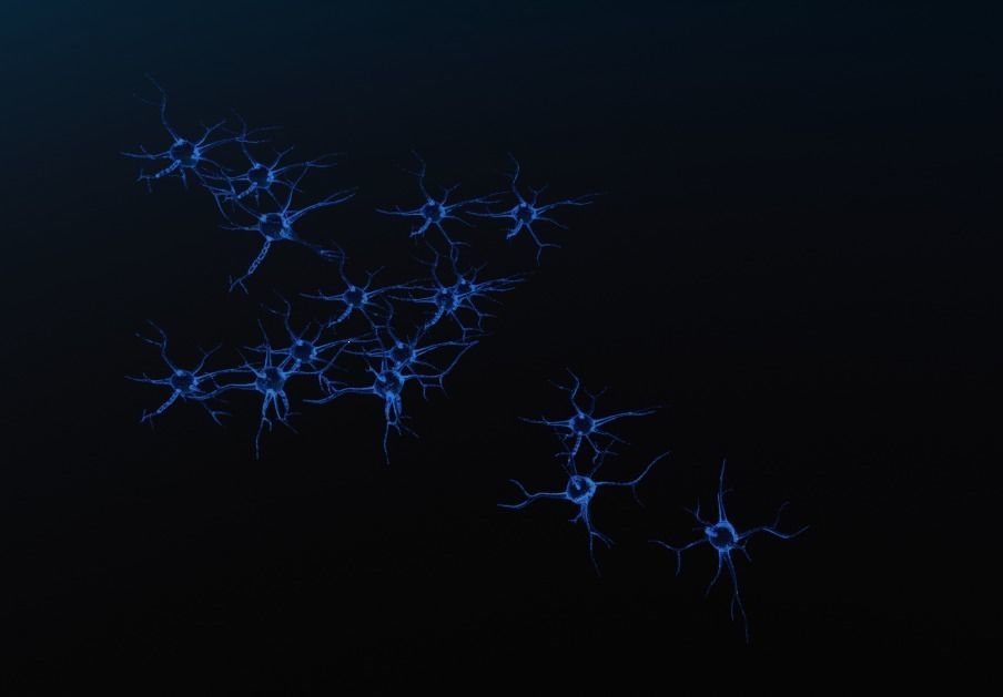 Neuron scene 3d model 3D model_4
