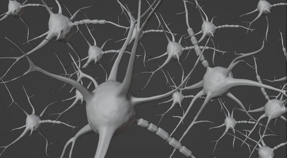 Neuron scene 3d model 3D model_2