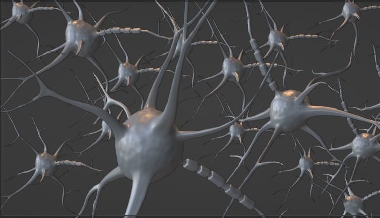 Neuron scene 3d model 3D model_6