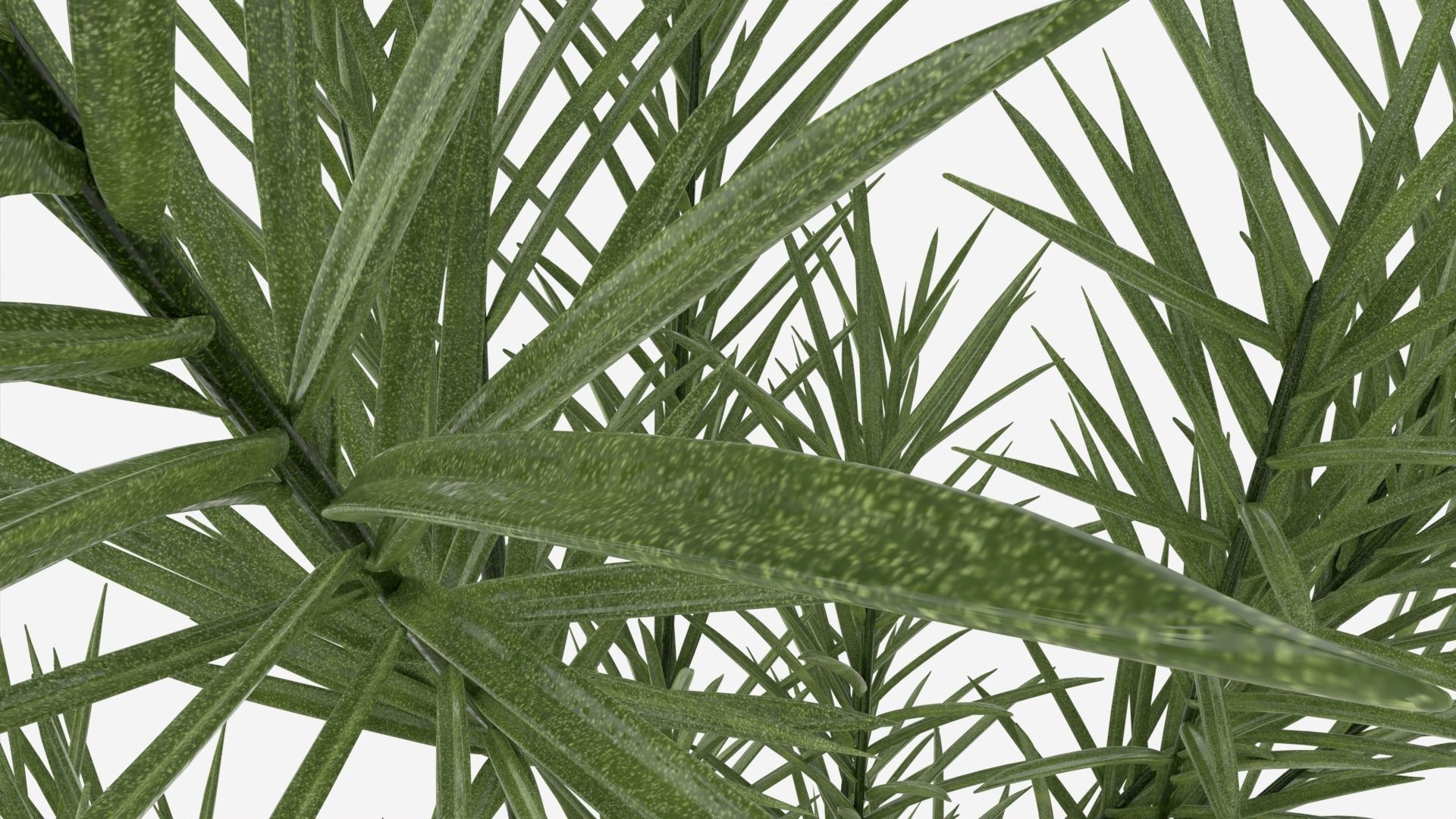 Glass hydroponic vase 02 3D model_3