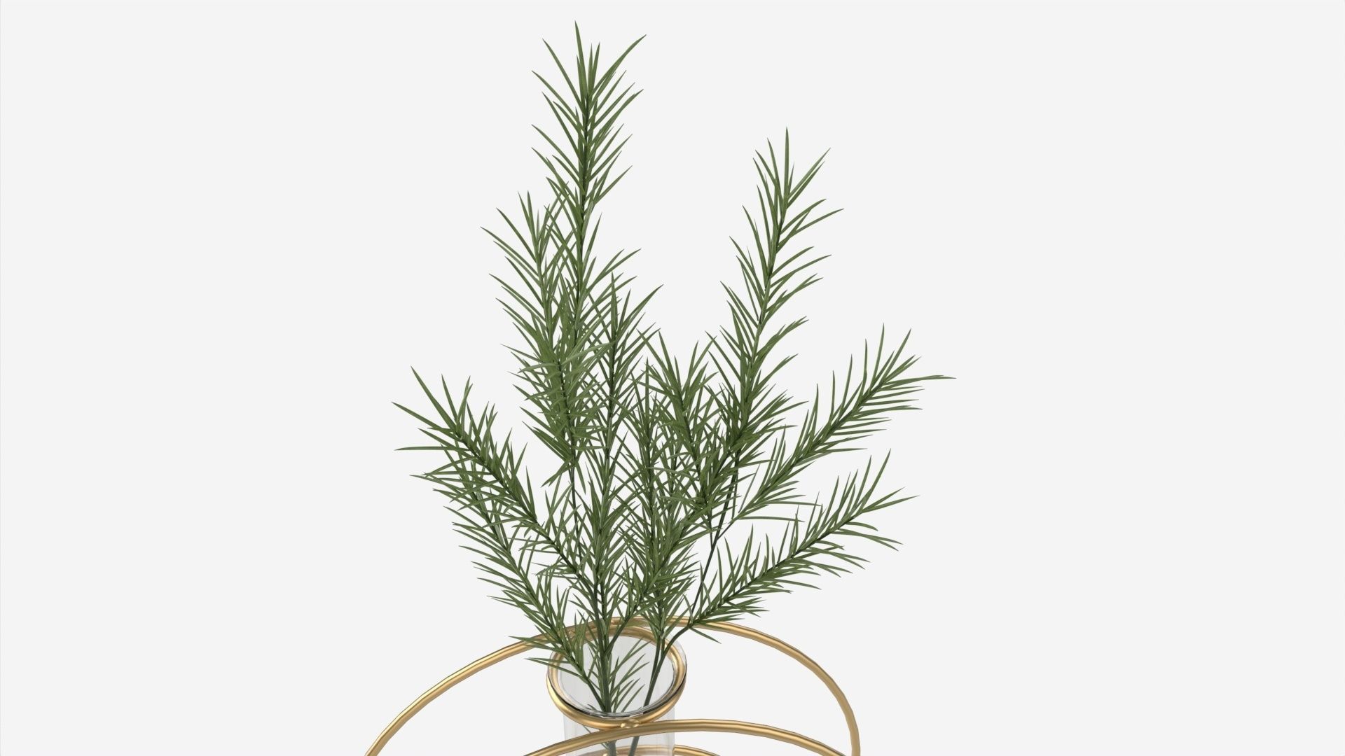 Glass hydroponic vase 02 3D model_2