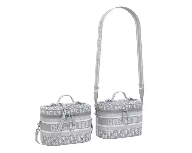 Dior DiorTravel Vanity Case Bag Gray Low-poly 3D model