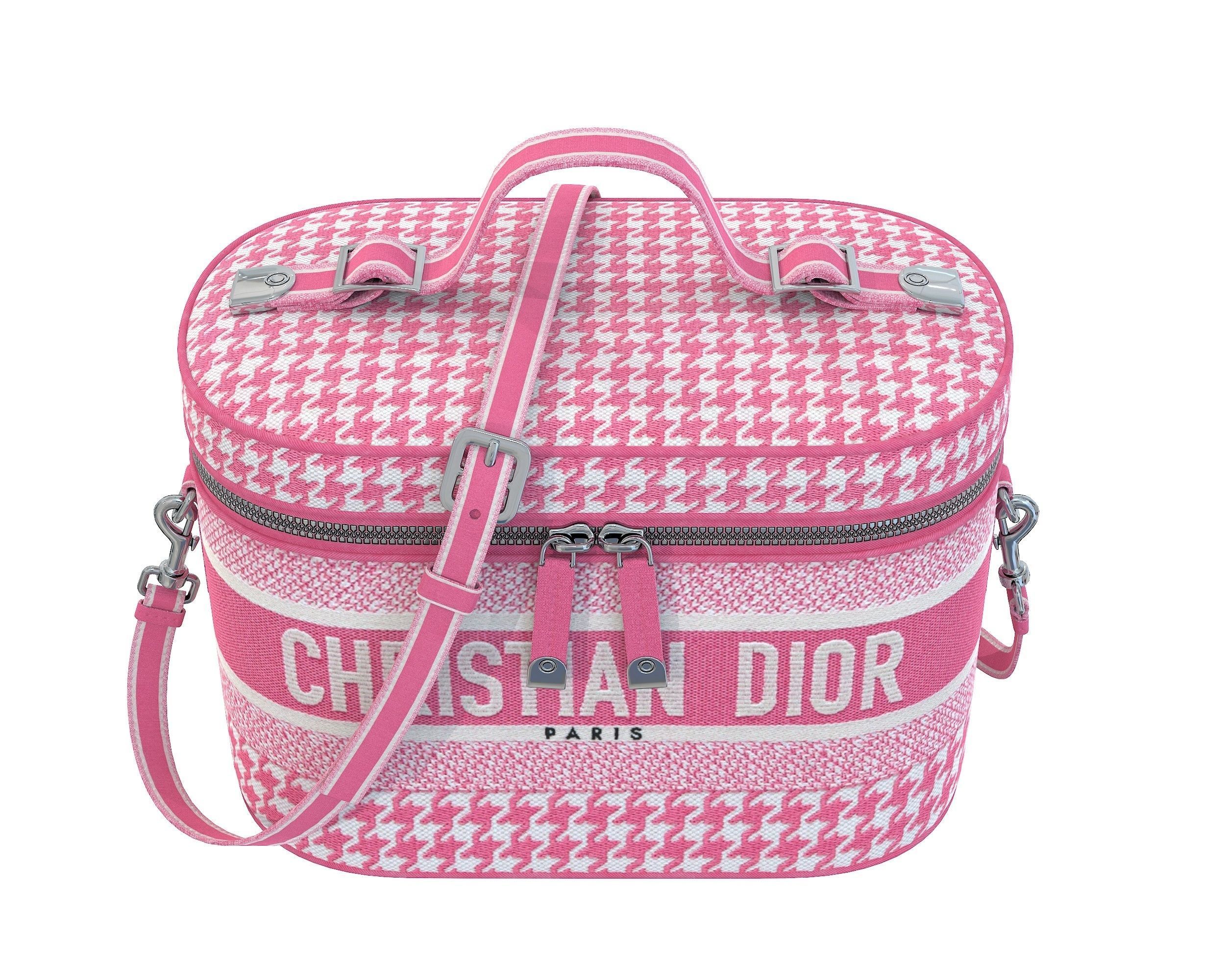 Dior DiorTravel Vanity Case Bag 3D Model Collection_11