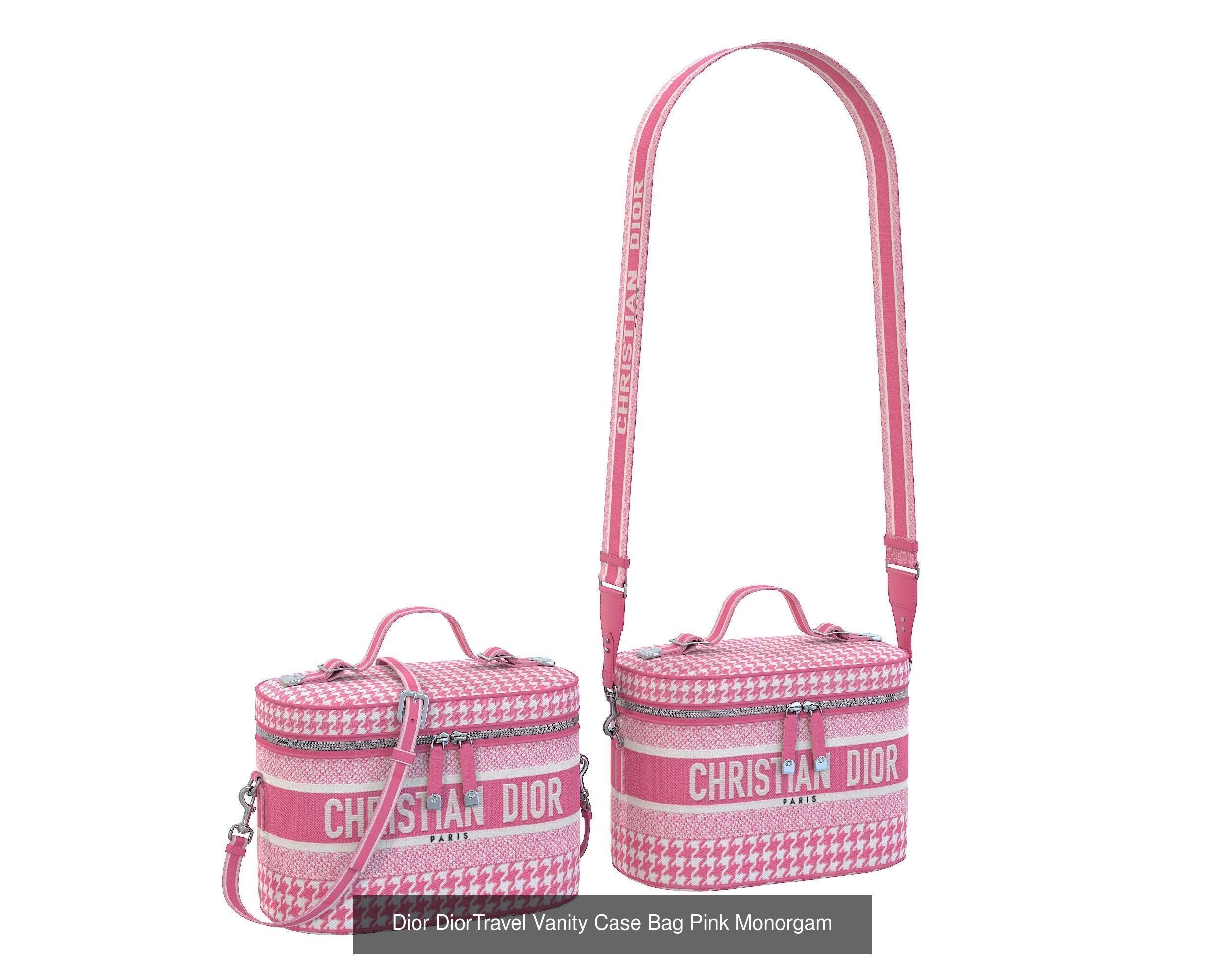 Dior DiorTravel Vanity Case Bag 3D Model Collection_7