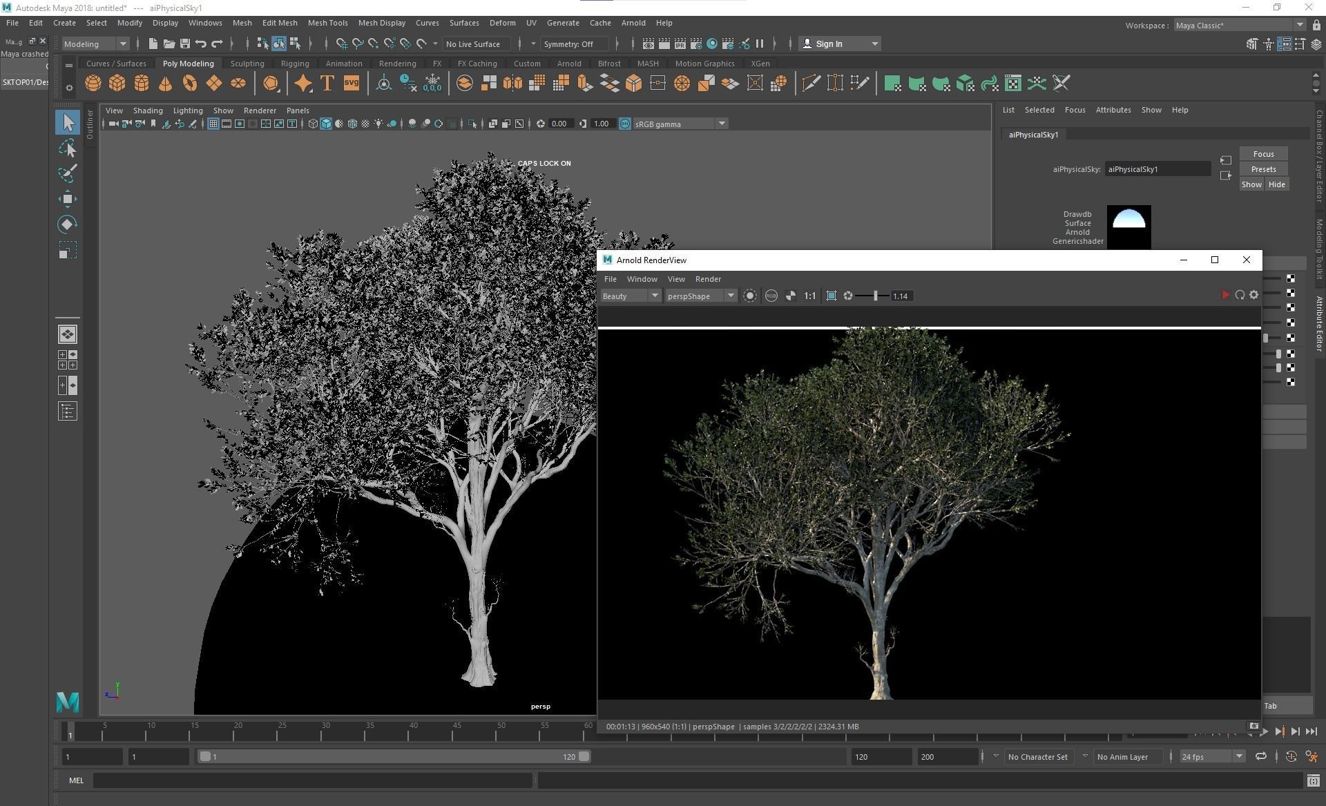 New Plant High detail Fagus Grandifolia02 3D model_5