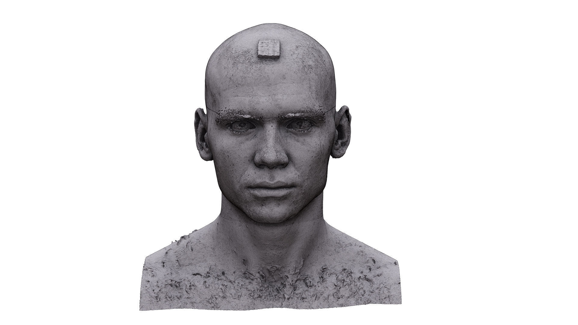 Raw Head Scan Efrain Fields 3D model_7