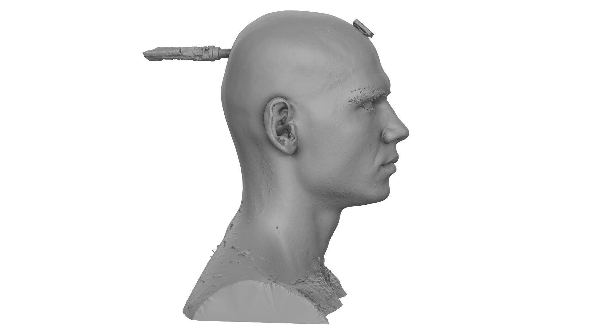 Raw Head Scan Efrain Fields 3D model_6