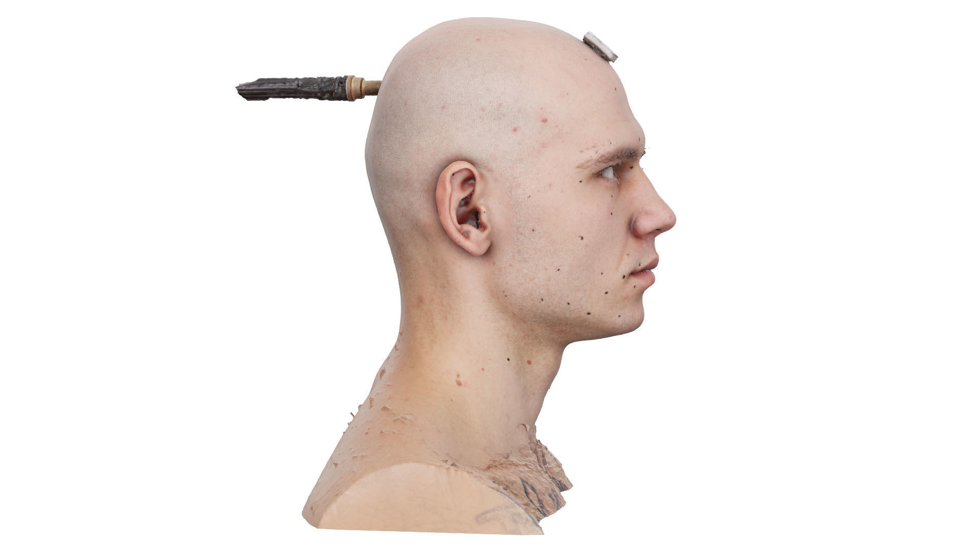 Raw Head Scan Efrain Fields 3D model_3