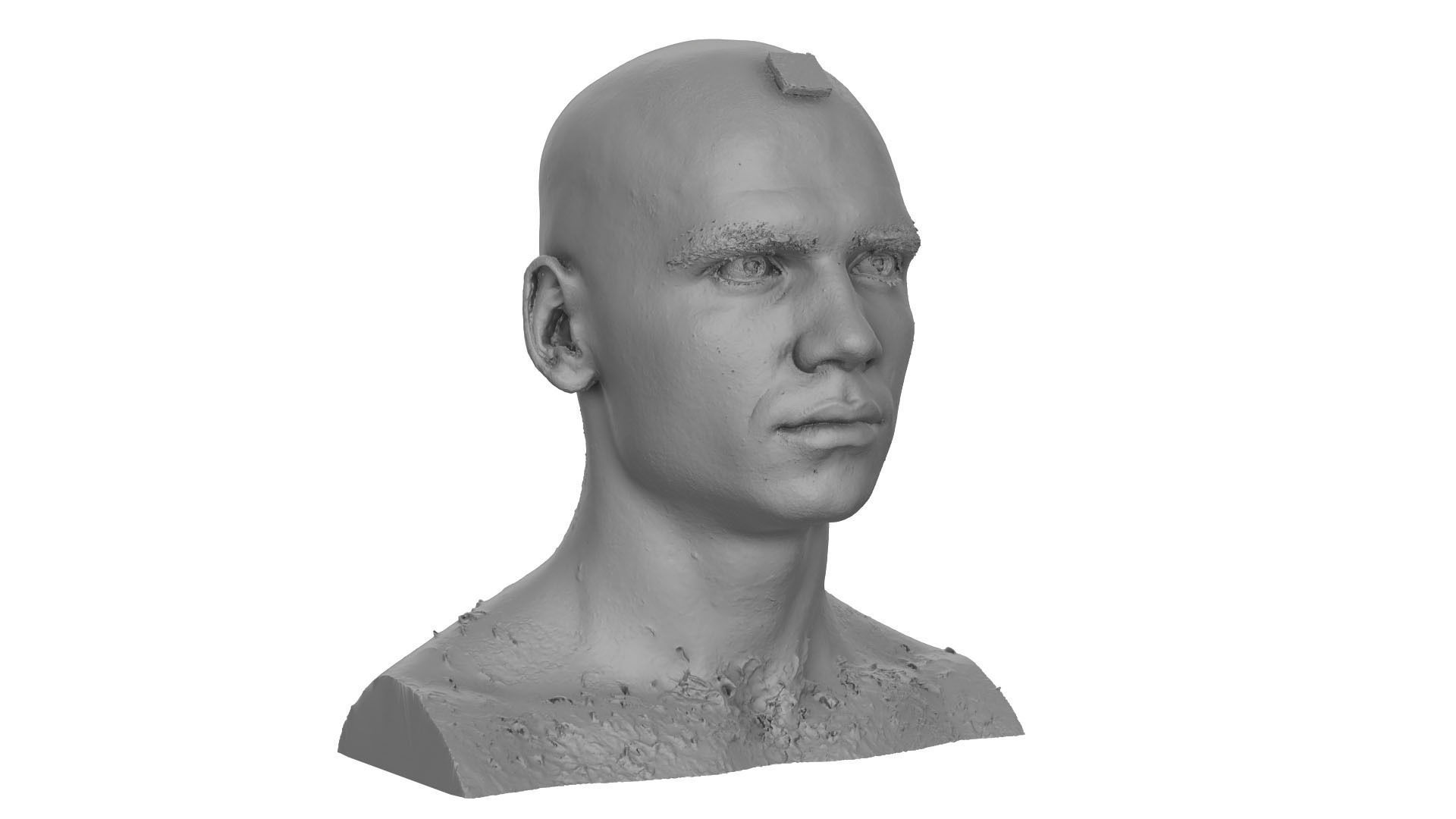 Raw Head Scan Efrain Fields 3D model_5