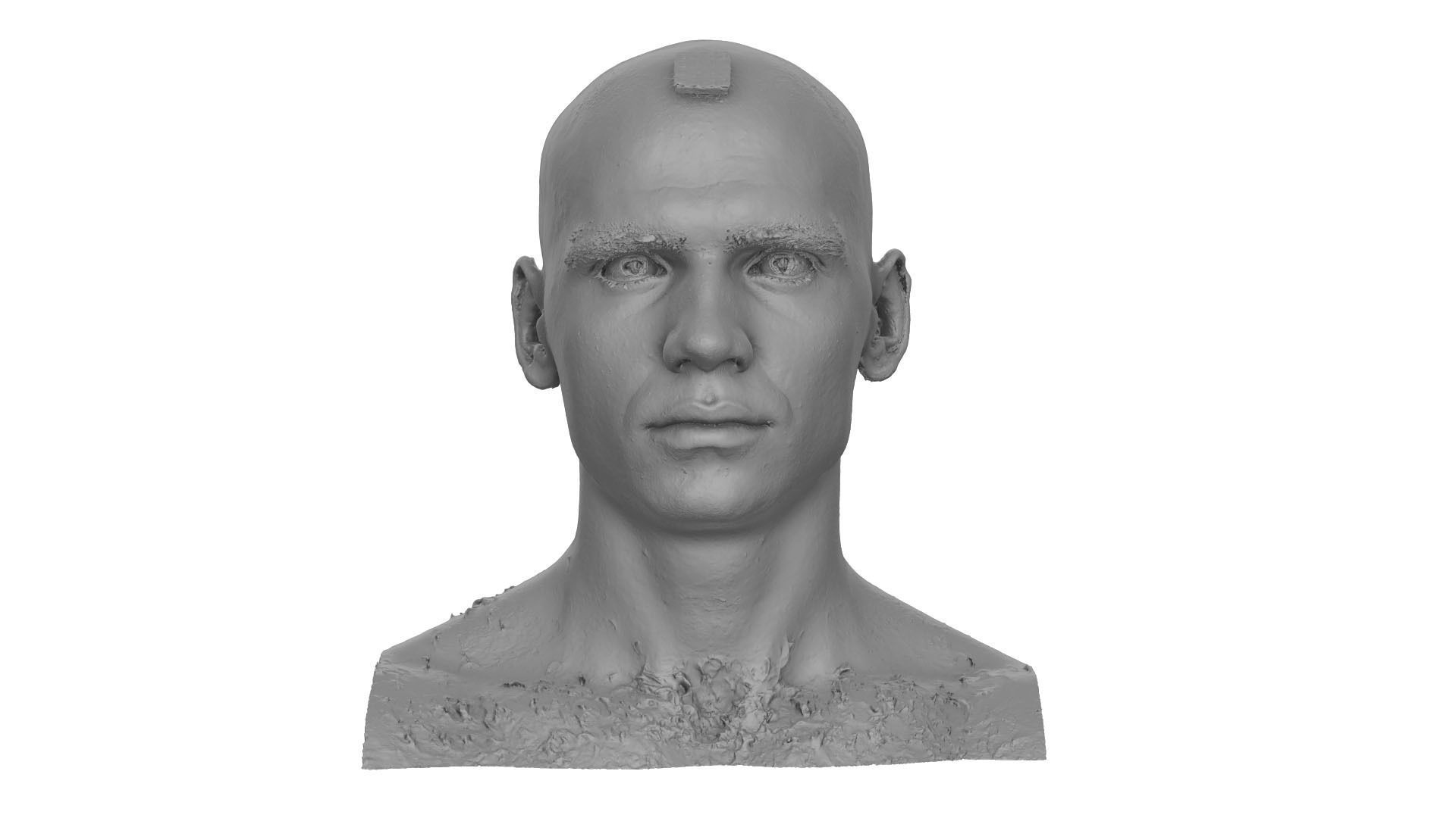 Raw Head Scan Efrain Fields 3D model_4