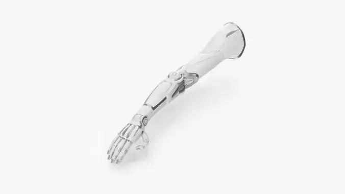 Cyborg female arm 3D model