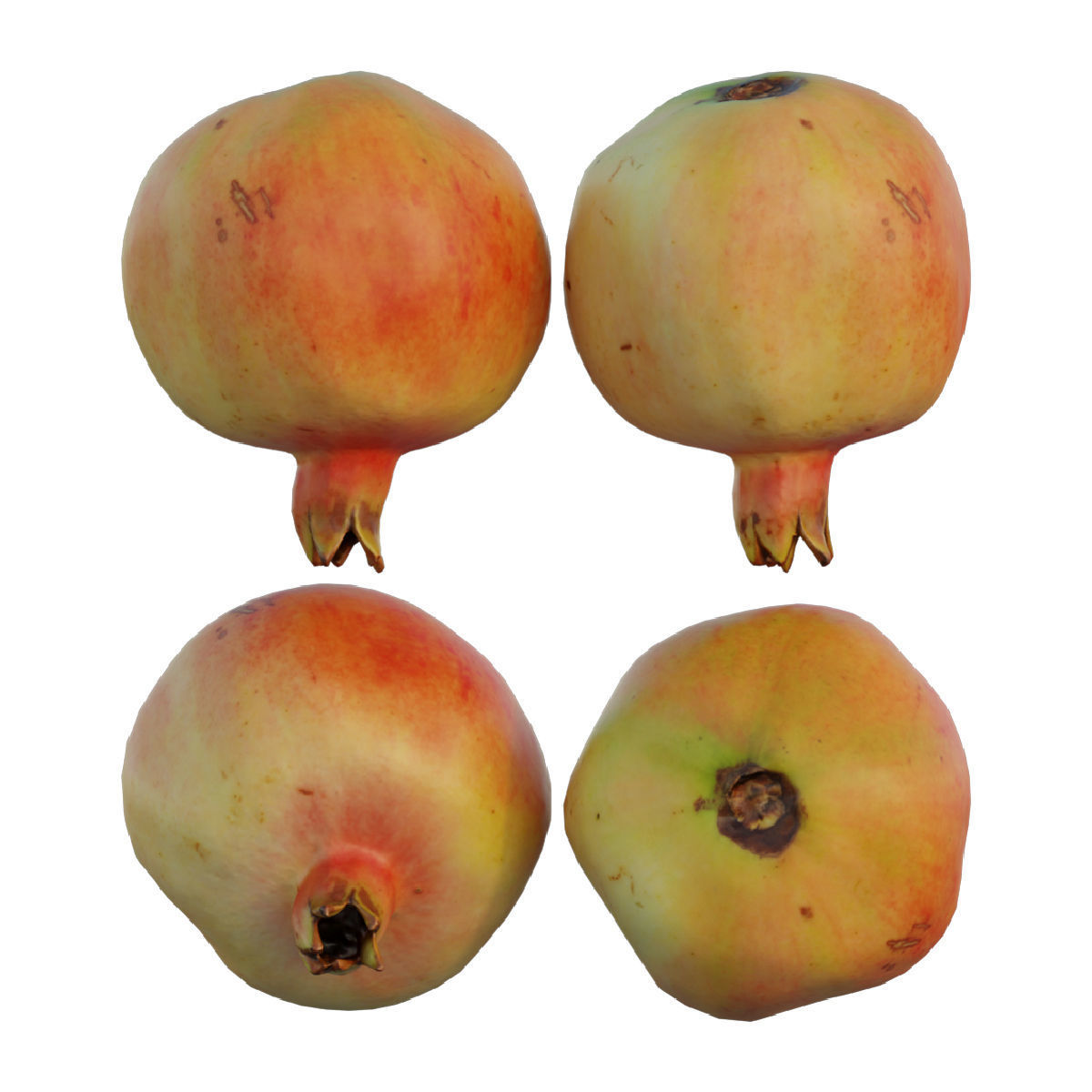 Pomegranate four pomegranates 3D model_6