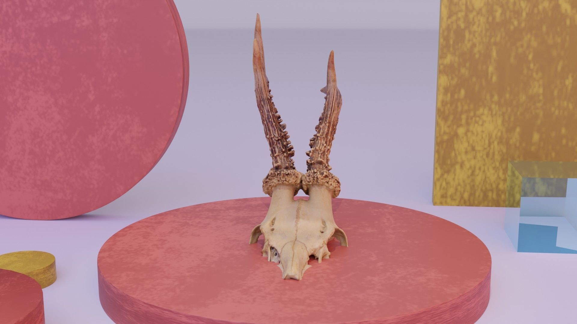 Deer skull with horns 01 high-poly 3D model_10