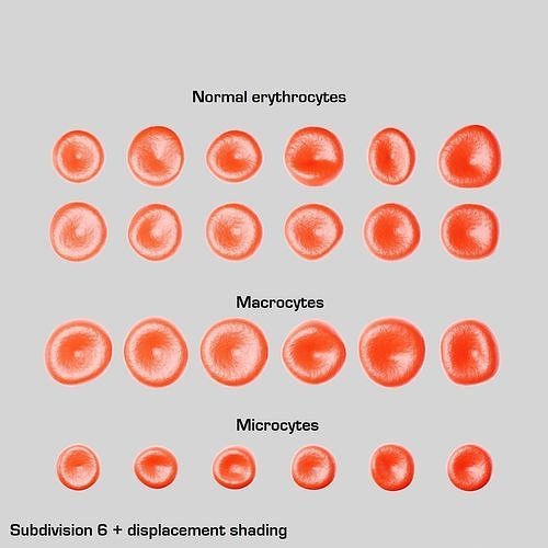 Red blood cell shape variations Low-poly 3D model Low-poly 3D model
