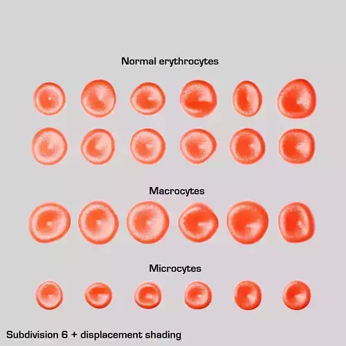 Red blood cell shape variations Low-poly 3D model Low-poly 3D model
