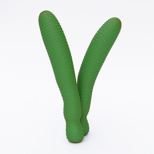 Cactus 3d model Free 3D model