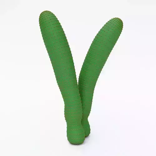 Cactus 3d model Free 3D model