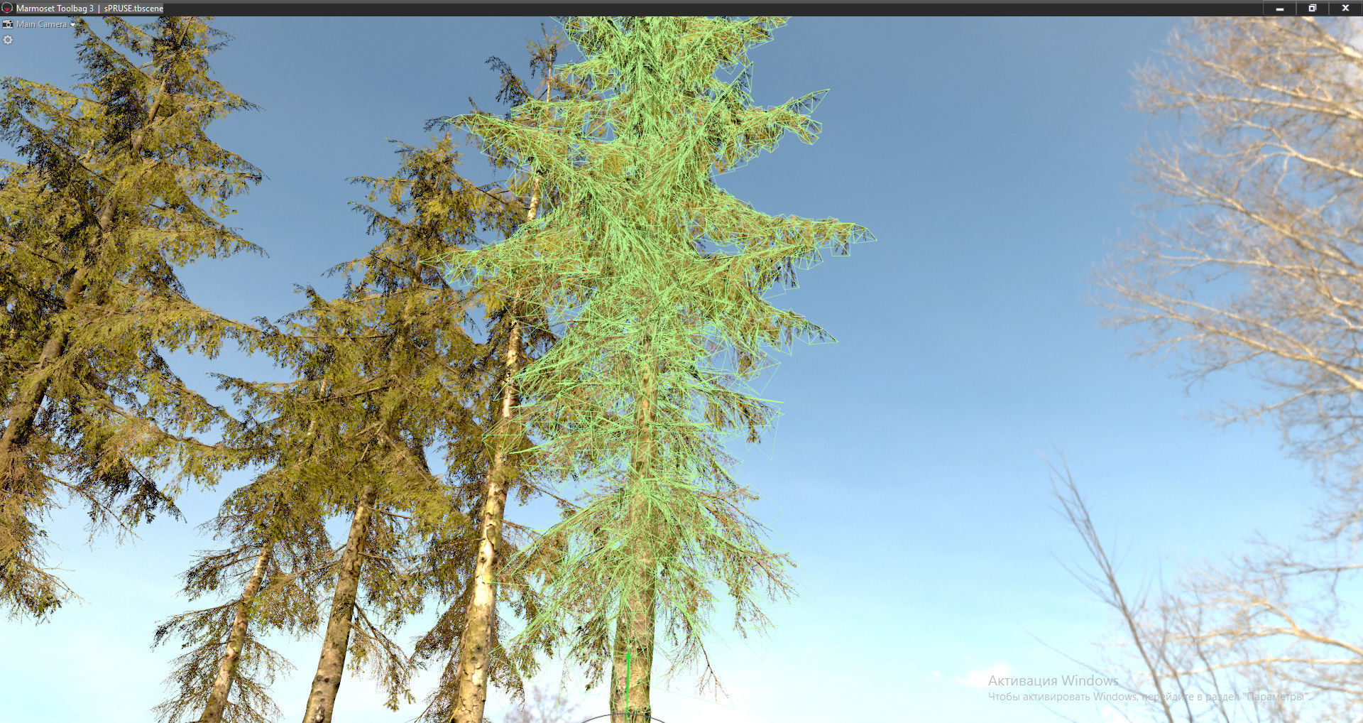Spruce Trees Low-poly 3D model_9