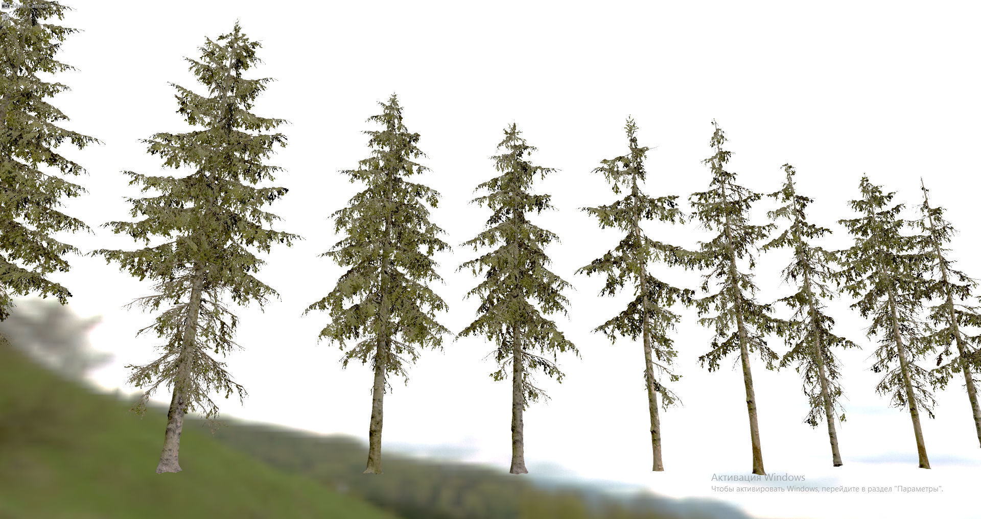 Spruce Trees Low-poly 3D model_21