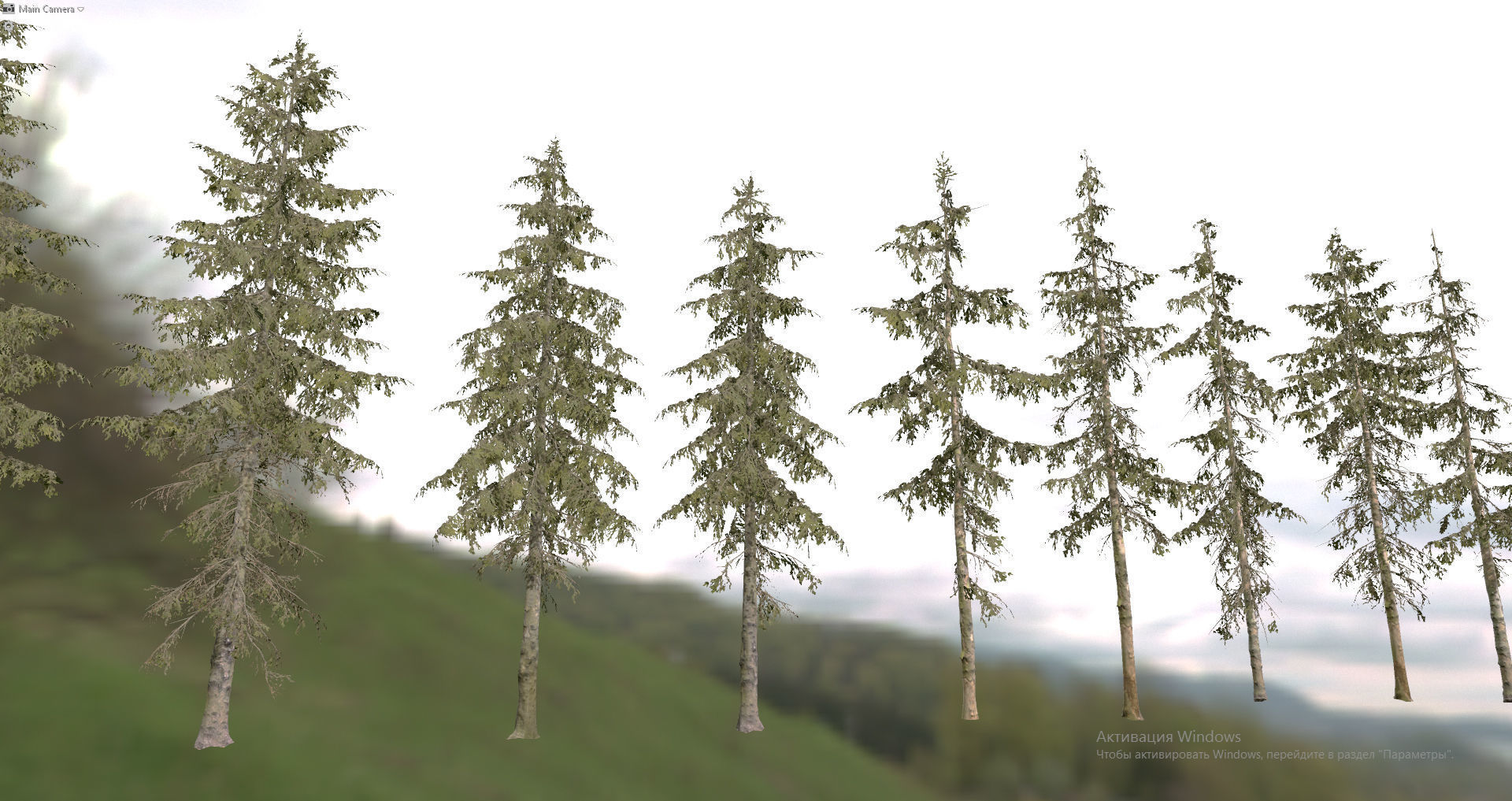 Spruce Trees Low-poly 3D model_12