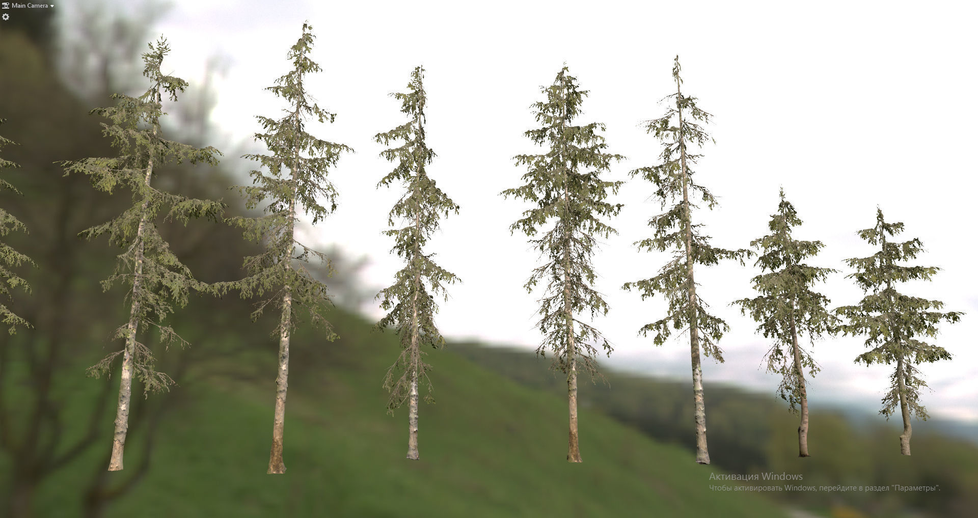 Spruce Trees Low-poly 3D model_25