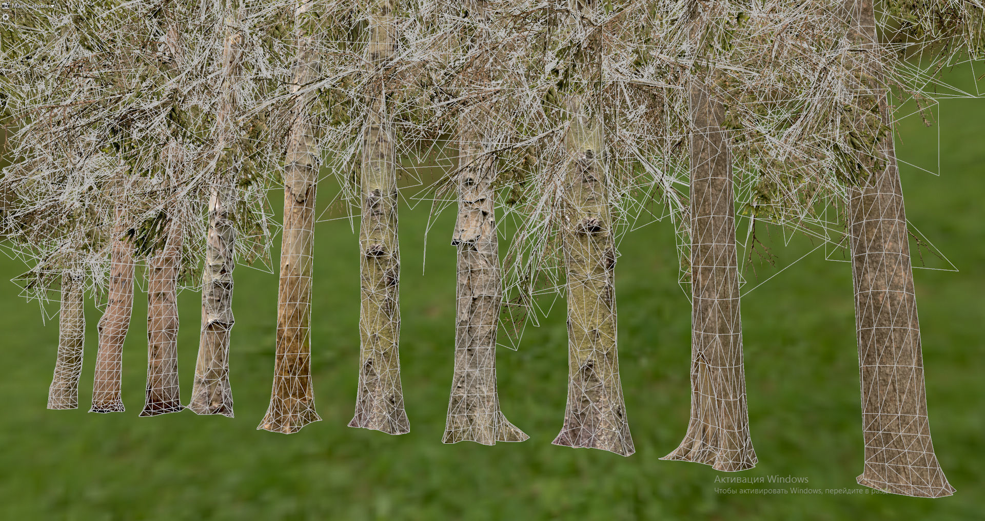 Spruce Trees Low-poly 3D model_14