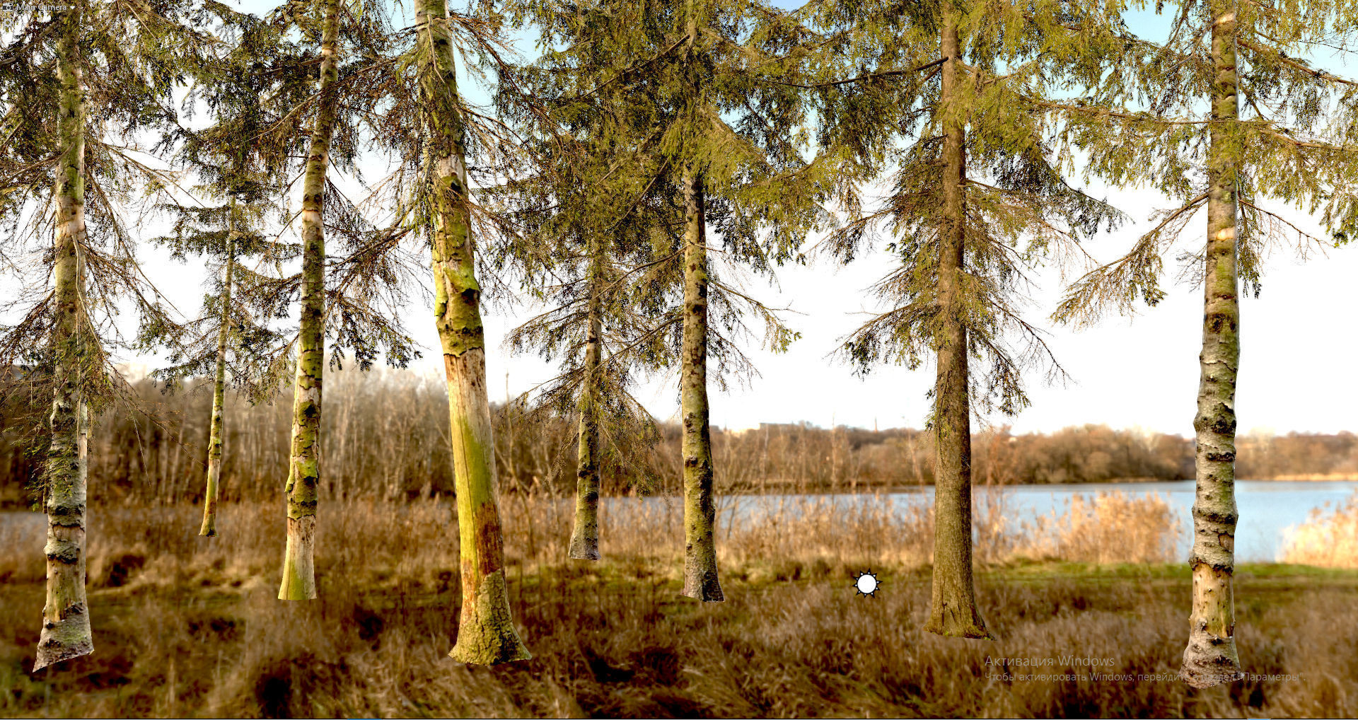 Spruce Trees Low-poly 3D model_7