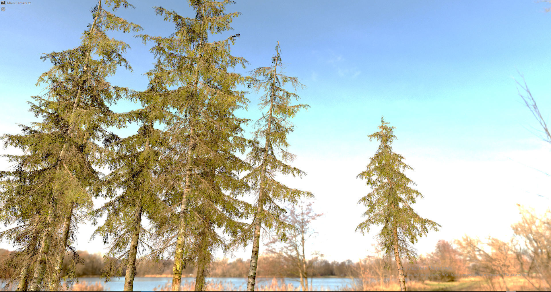 Spruce Trees Low-poly 3D model_6