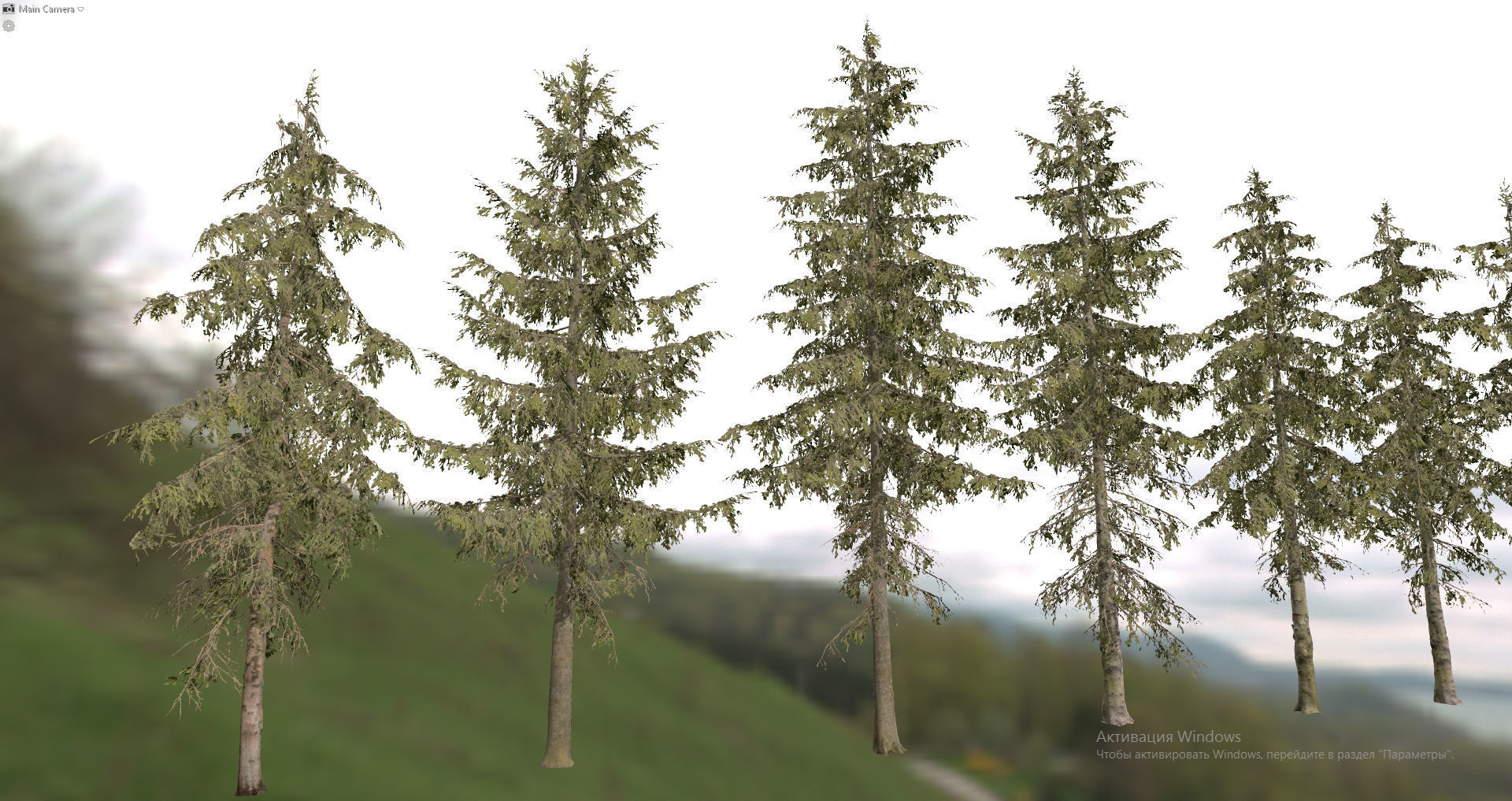 Spruce Trees Low-poly 3D model_24