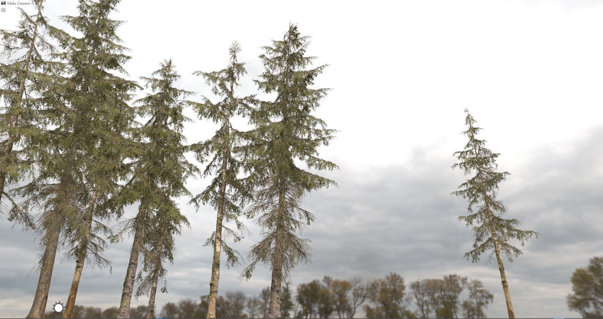 Spruce Trees Low-poly 3D model_5