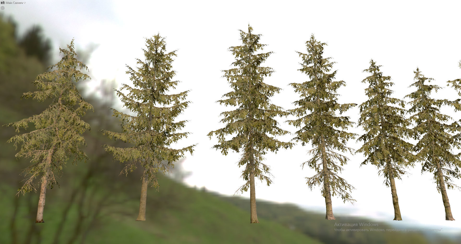 Spruce Trees Low-poly 3D model_19
