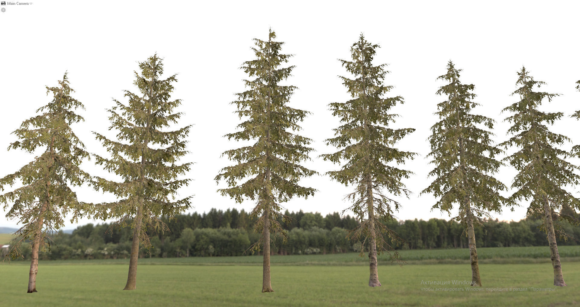 Spruce Trees Low-poly 3D model_23