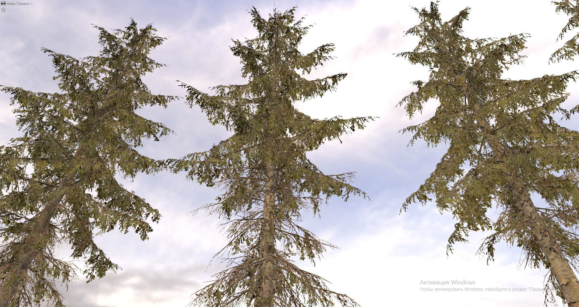 Spruce Trees Low-poly 3D model_18