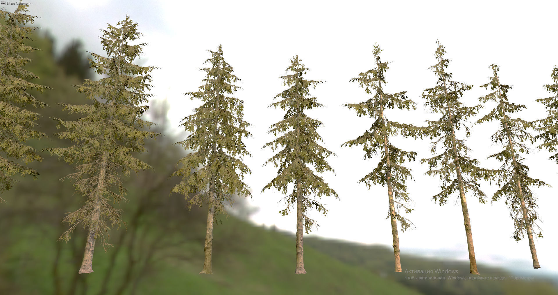 Spruce Trees Low-poly 3D model_17