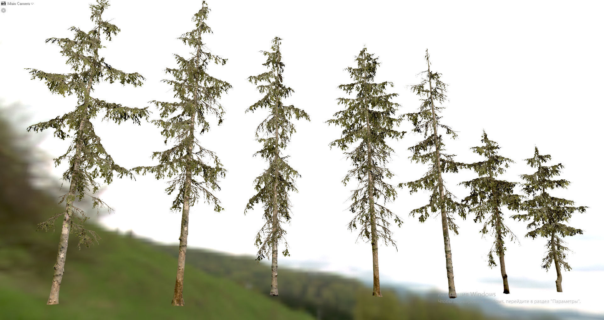 Spruce Trees Low-poly 3D model_22