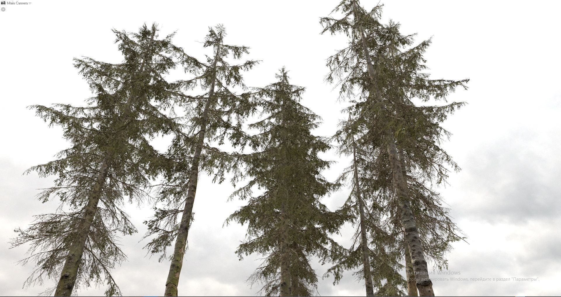 Spruce Trees Low-poly 3D model_3