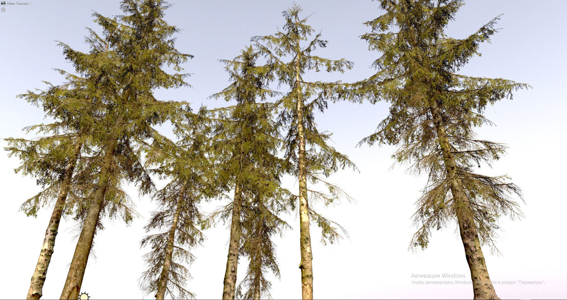 Spruce Trees Low-poly 3D model_10